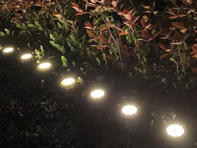 Solar Ground Lights 8 LED Disk Light With Red Rose Petal Shape Solar Powered Outdoor in-Ground Lights for Garden Driveways Lawn Yard Driveway Walkway Pool Patio Deck Pathway,4 Pack,Warm White