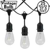 Novelty Lights 37.5 Feet, 25 Suspended E26 Sockets, S14 String Light Set with Clear Incandescent Bulbs, Heavy Duty | Lumora