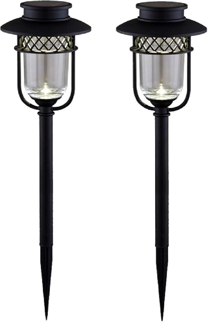 Set of 2 Black and Clear Solar Powered Outdoor Patio Path Lights 20"