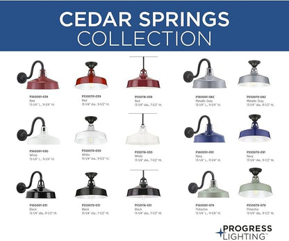Progress Lighting Cedar Springs Collection 1-Light Farmhouse Outdoor Extra-Large Wall Lantern Light Red