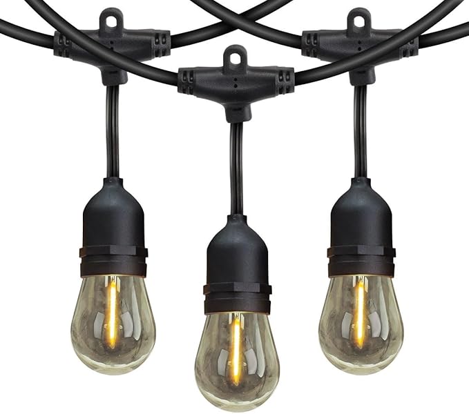 Feit Electric 48 ft. LED string lights