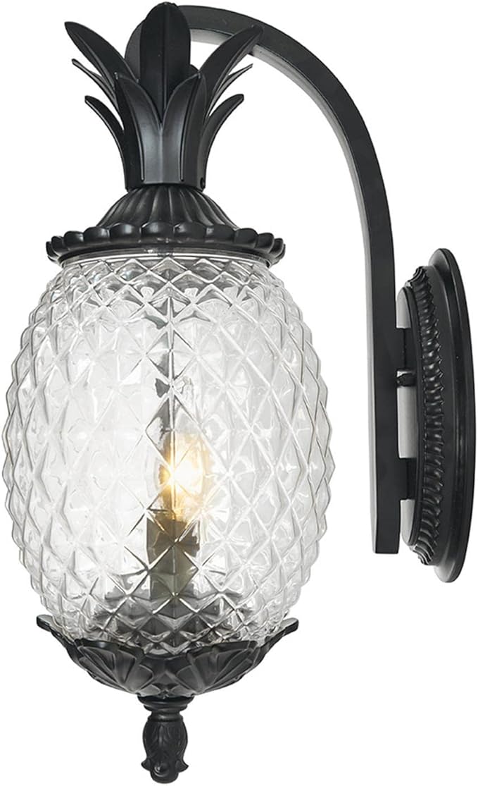Acclaim 7502BK Lanai Collection 2-Light Wall Mount Outdoor Light Fixture, Matte Black