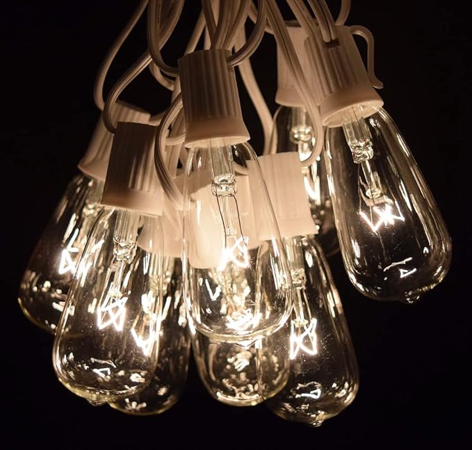 Hometown Evolution, Inc. Vintage Edison Outdoor String Lights (ST40 Clear - White Wire, 100 ft) | Lumora