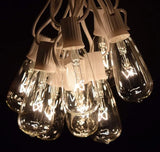 Hometown Evolution, Inc. Vintage Edison Outdoor String Lights (ST40 Clear - White Wire, 100 ft) | Lumora