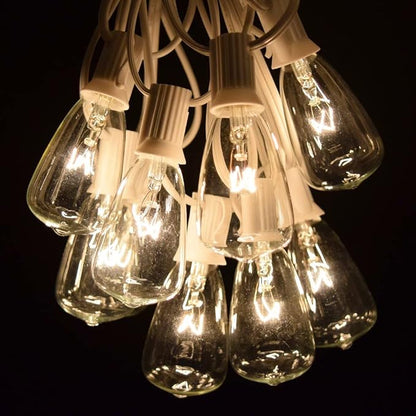 Hometown Evolution, Inc. Vintage Outdoor Patio String Lights with ST11 Clear Light Bulbs (White Wire, 10 ft)