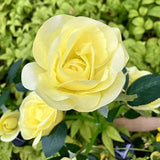 GONIMY Outdoor Realistic Solar Powered Rose Flower Lights Stake,2 Pack 10 Rose Solar Garden Decorative Waterproof | Lumora