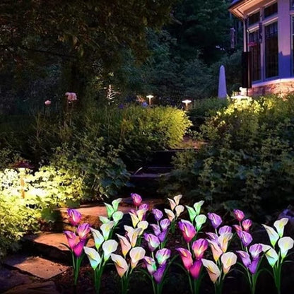 Aolyty Solar Garden Lights Outdoor Multi-Color Changing LED Solar Calla Lily Light IP65 Waterpoof Flower Lights for Patio, Garden, Lawn, Yard Pathway Decorative (Purple, 2 Pack)