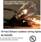 Abeja 10Ft ST38 Outdoor String Lights with 11 Clear Vintage Light Bulbs and 10 Pack ST38 Replacement Light Bulbs | Lumora