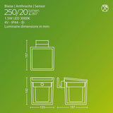 Philips Solar LED 1-Pack Ultra-Efficient Wall Lantern - Blaise, Dusk to Dawn, Automatically Linkable, Daylight and | Lumora