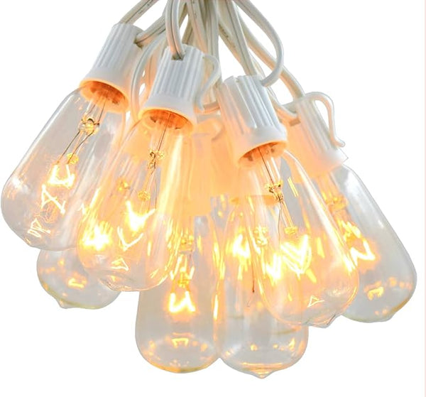 Hometown Evolution, Inc. Vintage Edison Outdoor String Lights (ST40 Clear - White Wire, 100 ft) | Lumora