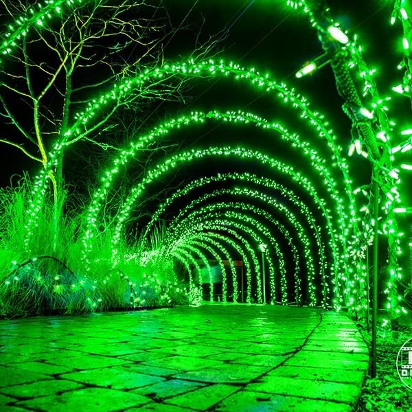 kemooie 500 LED Green St. Patrick's Day Lights, 164 FT 8 Lighting Mode with Memory Plug in Waterproof Fairy Lights, for Outdoor Birthday Christmas Wedding Party Garden Balcony Decorations (Green)