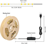 RUICHEN USB Plug in String Lights Silver Wire 33 Ft 100 LED Starry Fairy Lights with - Decorative Outdoor Light | Lumora