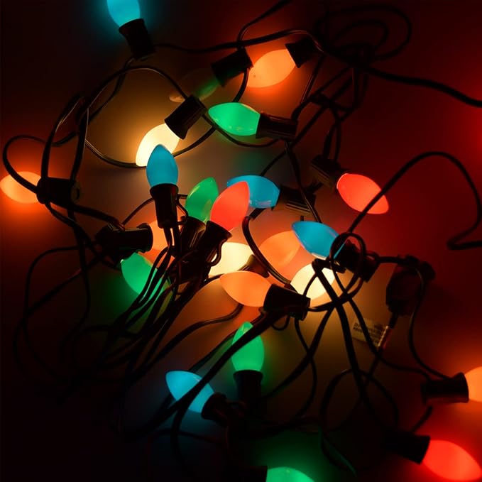 C7 Christmas Lights Outdoor 25Ft LED Christmas String Lights with 27 Multicolor LED Bulbs(2 Spare), Vintage | Lumora