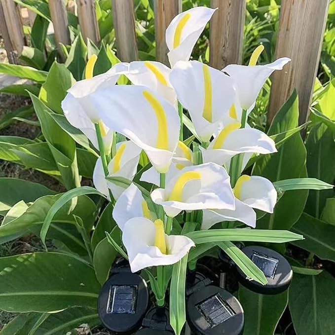 Aolyty Solar Garden Lights Outdoor Decor, Multi-Color Changing LED Solar Calla Lily Flower IP65 Waterpoof Landscape Lghting for Lawn Garden Yard Pathway Decoration (Red, 2 Pack)