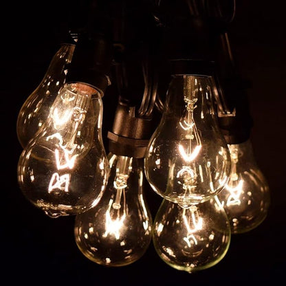 Hometown Evolution, Inc. Commercial Grade Vintage Edison Outdoor String Lights (PS50 Clear - Commercial Black Wire, 25 ft)