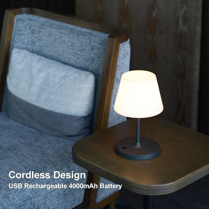 Outdoor Table Lamp/Cordless USB Rechargeable 4000mAh / 2700K LED/Touch Dimmable/Portable Battery Operated / IP44 Waterproof/PE Shade/Bedroom Dinning Camping Patio (9.6in, Dark Grey)