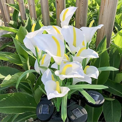 Aolyty Solar Garden Lights Outdoor Multi-Color Changing LED Solar Calla Lily Light IP65 Waterpoof Flower Lights for Patio, Garden, Lawn, Yard Pathway Decorative (Red, 2 Pack)