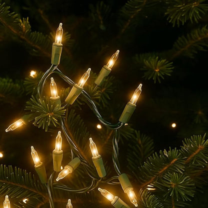 Novelty Lights 11 Feet 50 Bulbs Traditional Incandescent Mini Lights, Clear on Green Wire with 2.5" Spacing, Commercial Grade and UL Listed for Indoor/Outdoor Use, End-to-End Connectable