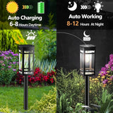 EXCMARK 16 Pack Solar Lights Outdoor Waterproof for Garden Pathway Walkway Driveway Yard Lawn Decorative Landscape | Lumora