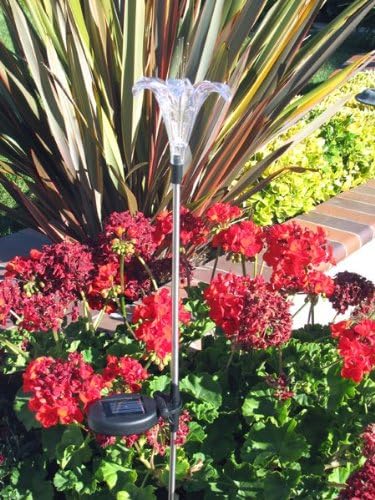 Set of 1 Solar Garden Stake Lights with Color Changing LED or Regular White LED Landscape Path Lights (1 Piece) (Lily Flower)