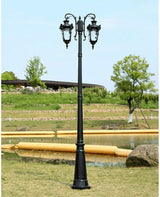 Outdoor Lamp Post Light Lamp Post Lights Outdoor,2-Head Street Light Anti-Rust Aluminum High Pole Light European | Lumora