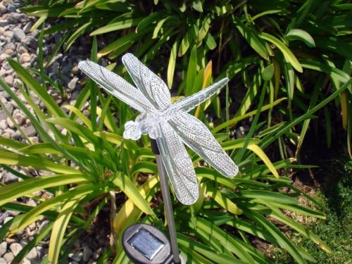 Set of 1 Solar Garden Stake Lights with Color Changing LED or Regular White LED Landscape Path Lights (1 Piece) (Dragonfly)