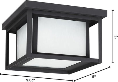 Sea Gull Lighting 79039EN3-12 Hunnington Two Light Outdoor Ceiling Flush Mount Hanging Modern Light Fixture, Black Finish