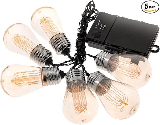 LitezAll LED Edison Bulb String Lights, Battery Operated Outdoor String Lights with Built-in Timer, Warm Glow | Lumora