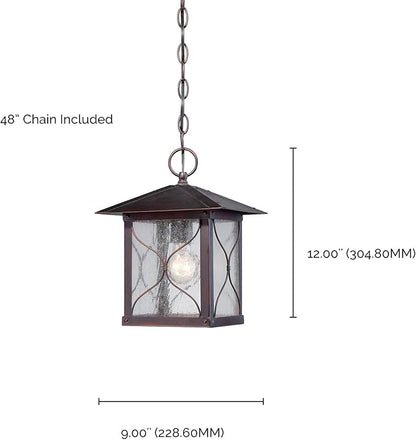 Nuvo Lighting 60/5614 Vega Hanging One Light Lantern 100-watt Outdoor Pendant Porch and Patio Lighting with Clear Seeded Glass, Classic Bronze