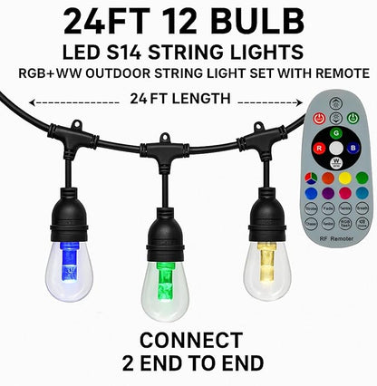 Novelty Lights Outdoor Color Changing LED S14 String Lights with Remote, 24 Feet RGB + Warm White & Cool White, 12 Shatter Resistant Bulbs on Black Wire