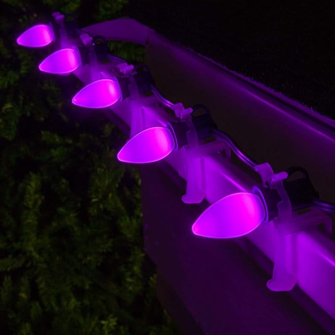 Wintergreen Lighting Opticore LED Smooth/Opaque Commercial C7 Christmas Lights Vintage Style, Commercial String Christmas Lights Heavy Duty, Green Wire (25 Lights, 25 ft, Purple)
