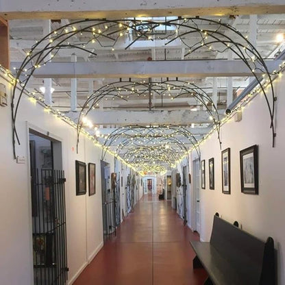 Novelty Lights 25ft Christmas String Lights, 50 Warm White LED Bulbs on Black Wire, 6" Spacing, Connectable Indoor Outdoor Commercial Grade Lighting for Holidays Patio Weddings