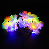 Solar Fiber Optic Camellia Flower Light, Colorful Outdoor Solar Garden DIY Decorative Lights for Walkway Pathway | Lumora