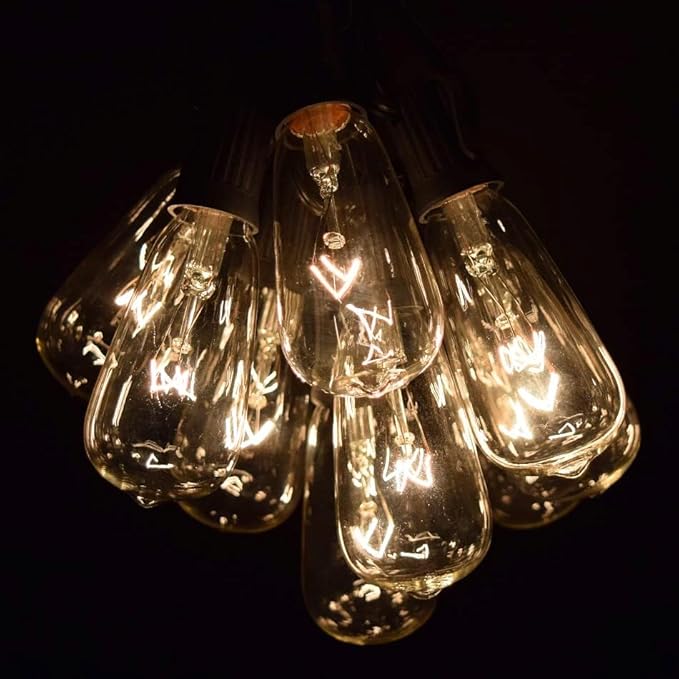 Hometown Evolution, Inc. Vintage Edison Outdoor String Lights (ST40 Clear - Black Wire, 25 ft) | Lumora
