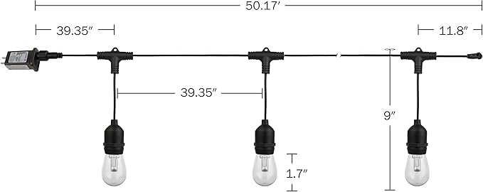 Outdoor String Lights - 50FT Color-Changing Patio Lights with Remote and Vintage-Style LED Edison Bulbs for Porch, Backyard, and Events by Pure Garden