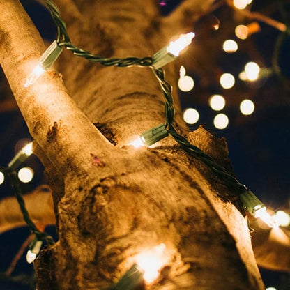 2 Pack Christmas String Lights with Built-in Timer - Total 100 LED 36ft Fairy Battery String Lights - Mini Lighting for Garden Festival Living room Xmas Tree Christmas Decorations - Warm White