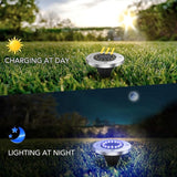 Solar Ground Lights - 20 LED, 12 Pack Outdoor Disk Lights - Waterproof in-Ground Garden Light Set for Pathway, Lawn | Lumora