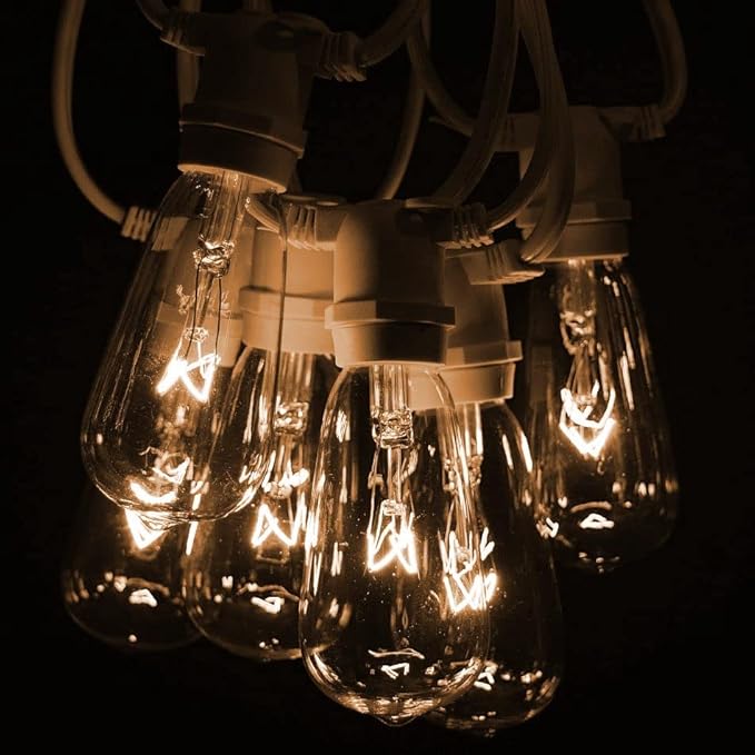 Hometown Evolution, Inc. Commercial Grade Vintage Edison Outdoor String Lights (ST40 Clear - Commercial White Wire | Lumora