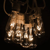 Hometown Evolution, Inc. Commercial Grade Vintage Edison Outdoor String Lights (ST40 Clear - Commercial White Wire | Lumora