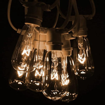 Hometown Evolution, Inc. Commercial Grade Vintage Edison Outdoor String Lights (ST40 Clear - Commercial White Wire, 25 ft)