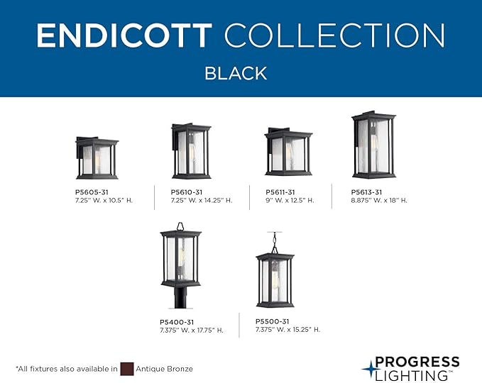 Progress Lighting Endicott Collection 1-Light Clear Seeded Glass Craftsman Outdoor Small Wall Lantern Light | Lumora