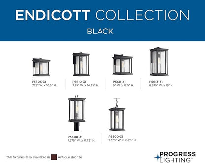 Progress Lighting Endicott Collection 1-Light Clear Seeded Glass Craftsman Outdoor Small Wall Lantern Light Textured Black