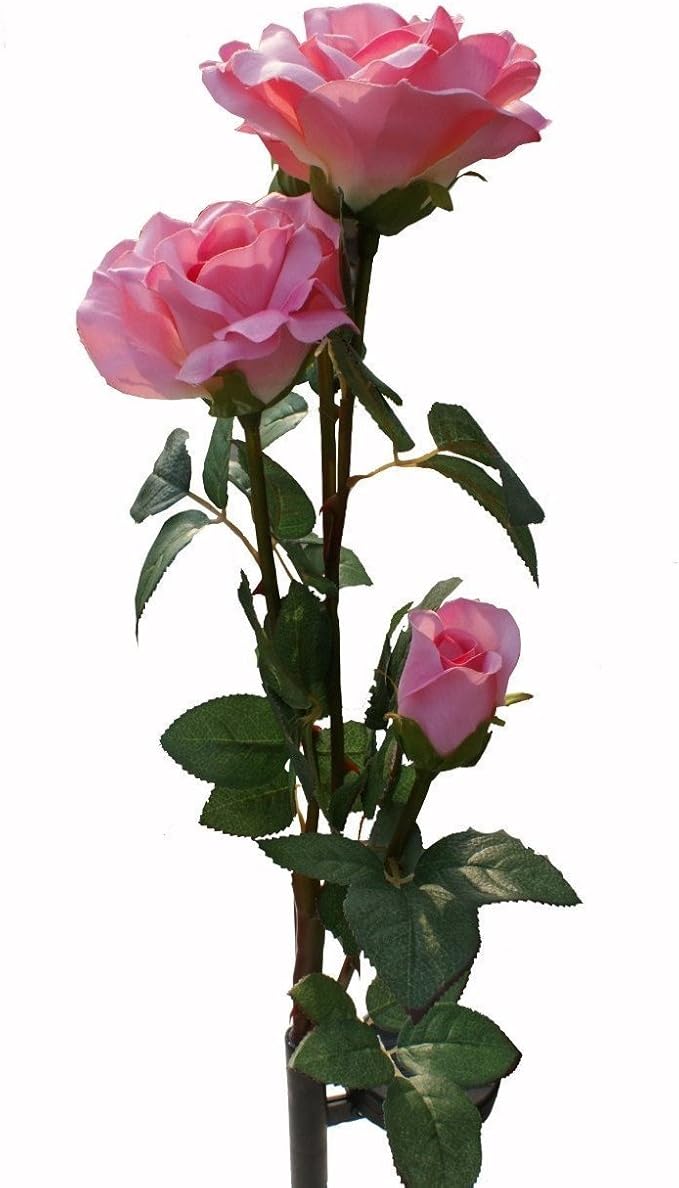 Solaration™ Solar Pink Rose Flower Lights Outdoor Decorative Lights Year-round, Great Gift!