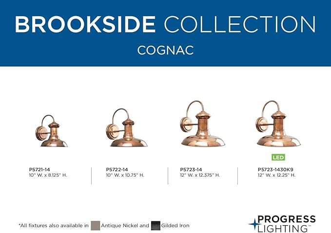 Progress Lighting P5722-14 Brookside Outdoor, 10-Inch Width x 10-3/4-Inch Height, Brown