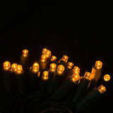 Everfit Lighting 50 Count 5MM Wide Angle Led Christmas Lights Set,Outdoor Led String Lights for Garden Patio | Lumora