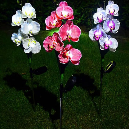 Aolyty Solar Garden Lights Outdoor, IP65 Waterproof Solar Stake Lights Butterfly Orchid Flowers Lights for Lawn Patio Backyard Landscape Party Decorative (Pink, 2 Pack)