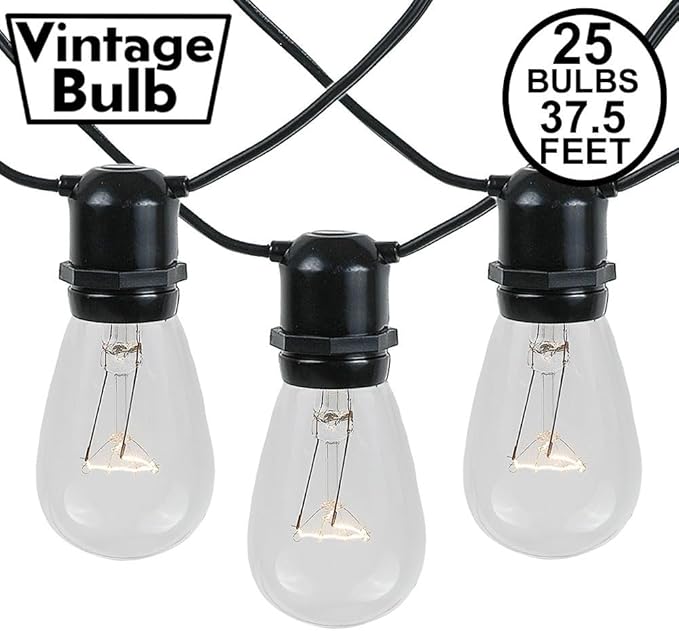 Novelty Lights 37.5 Feet, 25 in-Line E26 Sockets, S14 String Light Set with Clear Incandescent Bulbs, Heavy Duty | Lumora