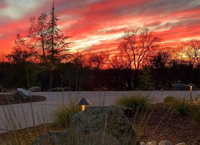 VOLT Conehead 12V Brass Path Light (7" Shade, 25" Tall) for Low Voltage Landscape Lighting on Outdoor Pathway, Walkway, Garden, Driveway or Patio