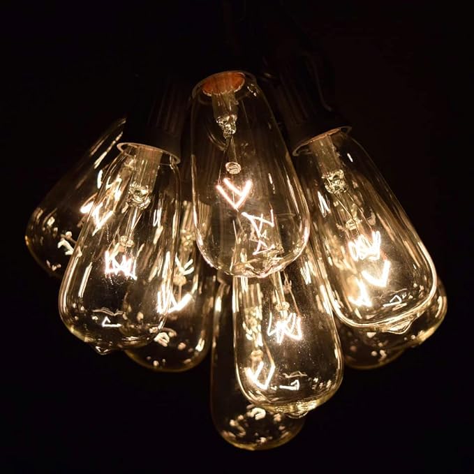 Hometown Evolution, Inc. Vintage Edison Outdoor String Lights (ST40 Clear - Black Wire, 10 ft) | Lumora