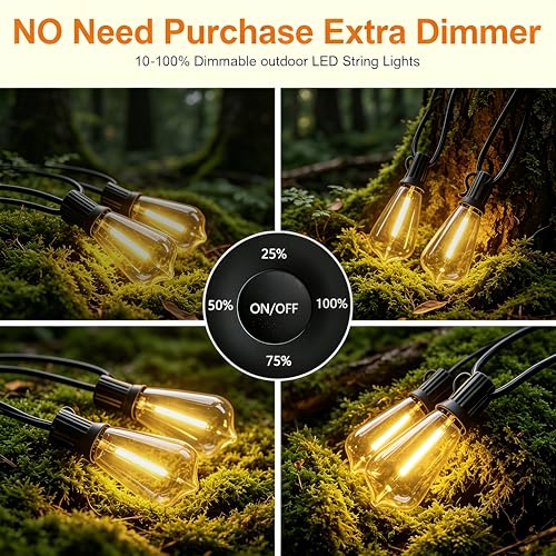 60FT Outdoor String Lights ST38 LED with Remote Waterproof Dimmable